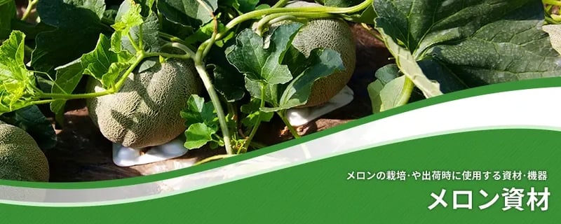メロン資材