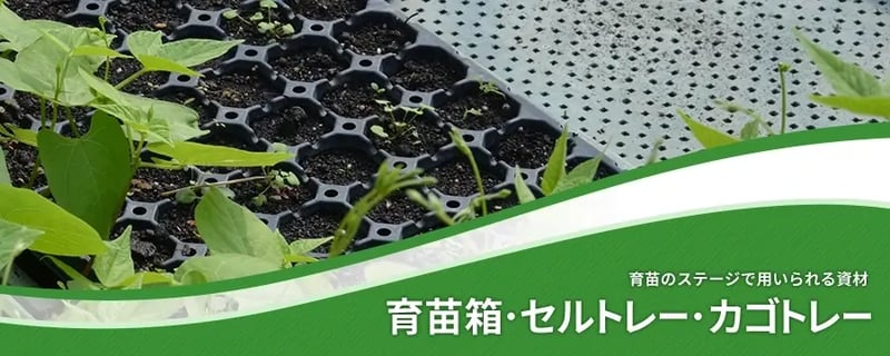 育苗箱･セルトレー･カゴトレー