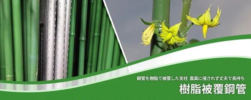 樹脂被覆鋼管