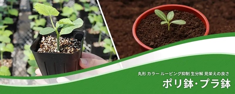 ポリ鉢･プラ鉢