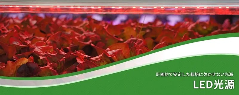 ＬＥＤ光源