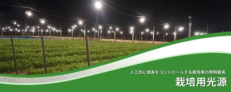 栽培用光源