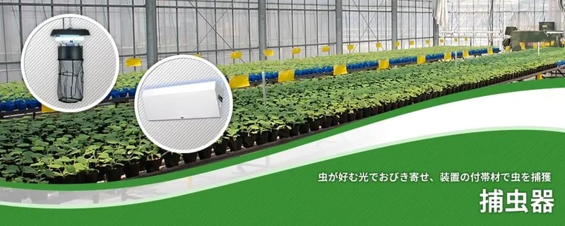 捕虫器