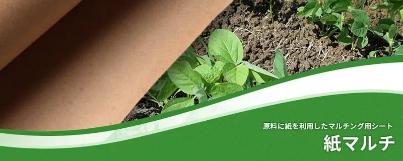 紙マルチ