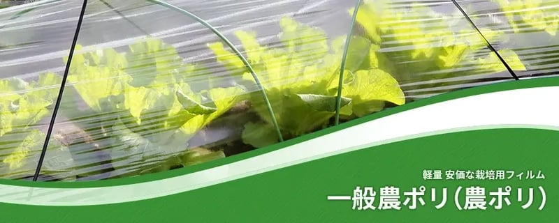 一般農ポリ