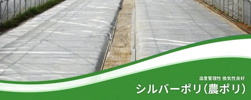 シルバーポリ