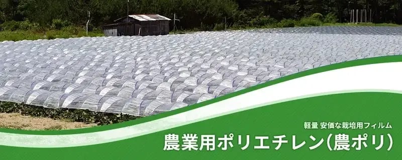 農ポリ