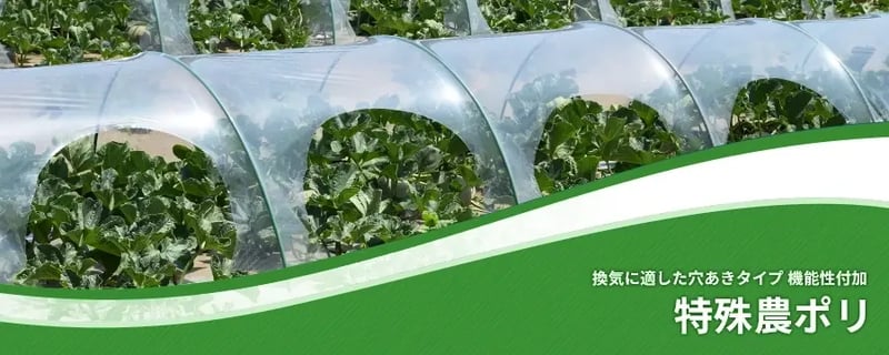 特殊農ポリ