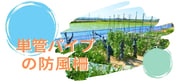 【ブログのご紹介】