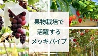 【ブログのご紹介】