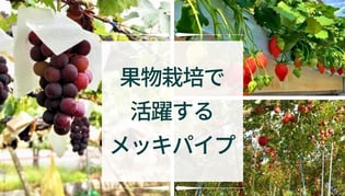 【ブログのご紹介】