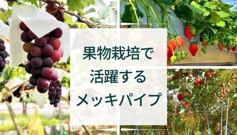 【ブログのご紹介】"果物栽培"でも活躍するメッキパイプ！！その代表的な用途や当社のオススメ製品について解説。