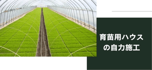 【ブログのご紹介】なるほど、雪害克服の一手。育苗用ビニールハウスの自力施工について。