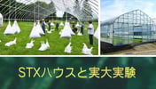 ”STXハウス”は風速50mに耐えうるパイプハウス！？”低コスト耐候性ハウス”と”施設園芸協会の安全構造診断”も含めて詳しく解説。