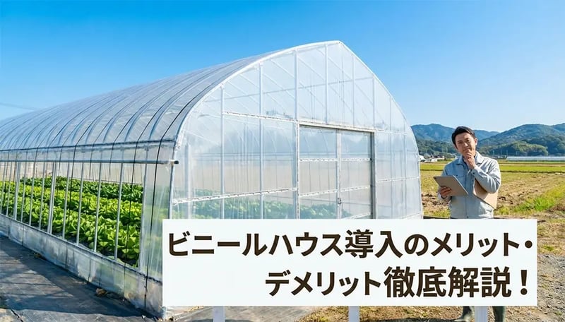 ビニールハウスのメリット・デメリットを徹底解説！導入前に知っておくべきポイント