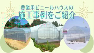 【ブログのご紹介】農業用ビニールハウスの施工事例のご紹介！！