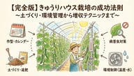 きゅうりのハウス栽培完全ガイド｜作型・土づくり・病害虫対策・収穫量アップまで解説