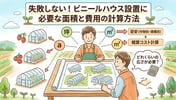 ビニールハウスの設置に必要な面積はどれくらい？規模別・作物別の土地計算ガイド【早見表付き】