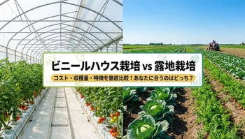 ビニールハウスvs露地栽培｜違いやコスト・収穫量についてプロが徹底解説