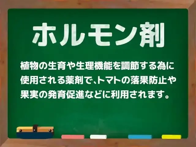 ホルモン剤(ほるもんざい)
