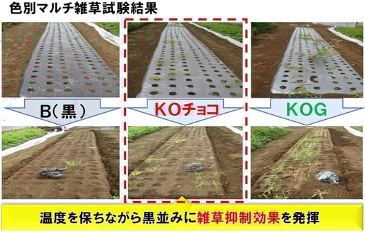 image3_ai