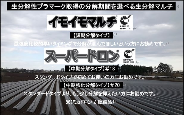 image8_ai