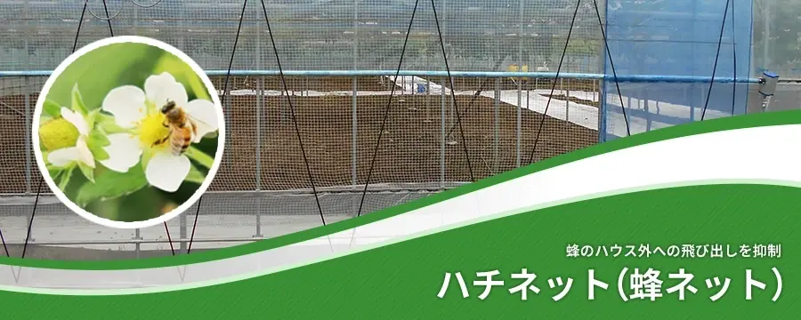 ハチネット（蜂ネット）