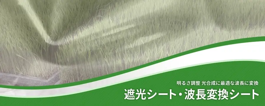 遮光シート・波長変換シート