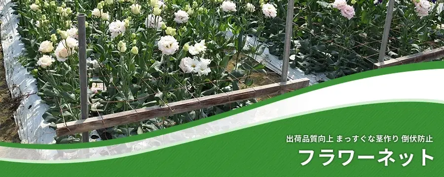 フラワーネット