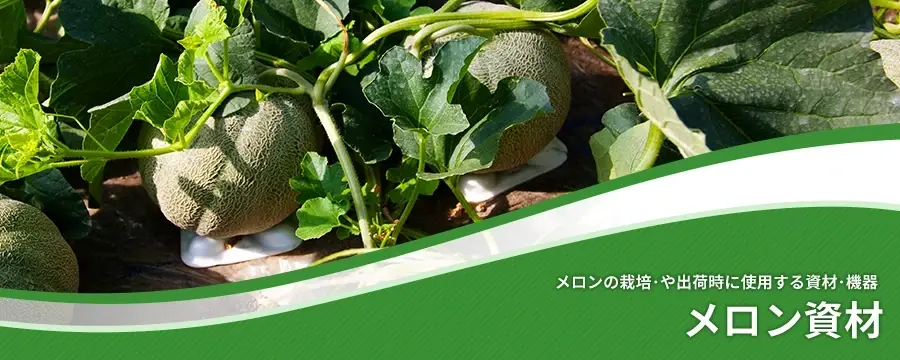 メロン資材