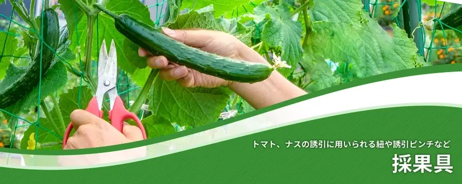 採果具