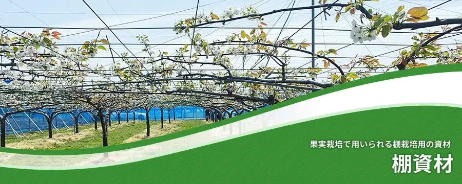 棚資材