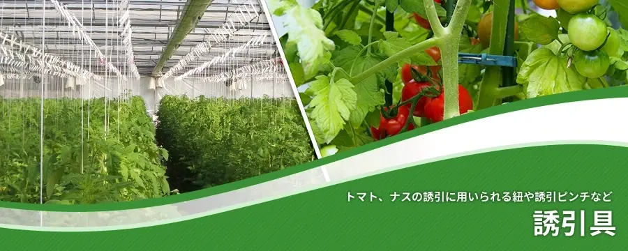 誘引具