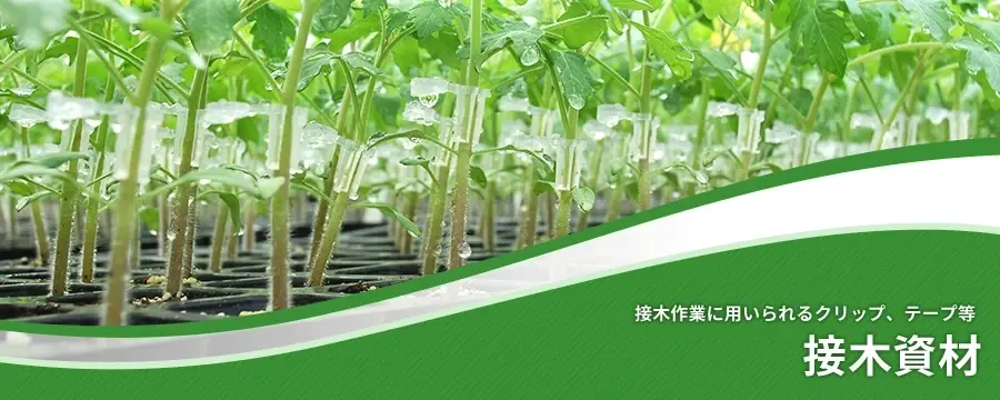接木資材
