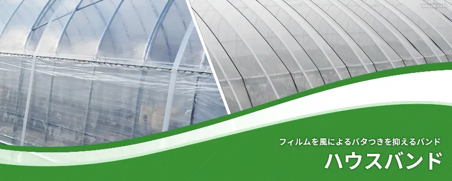 ハウスバンド