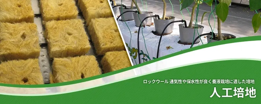 人工培地
