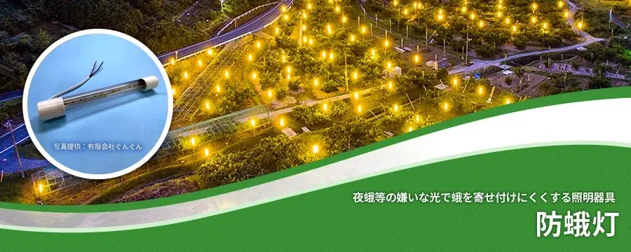 防蛾灯