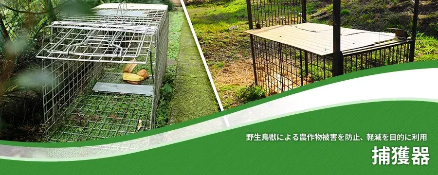 捕獲器