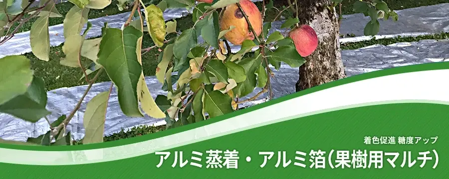 アルミ蒸着・アルミ箔タイプ（果樹用）