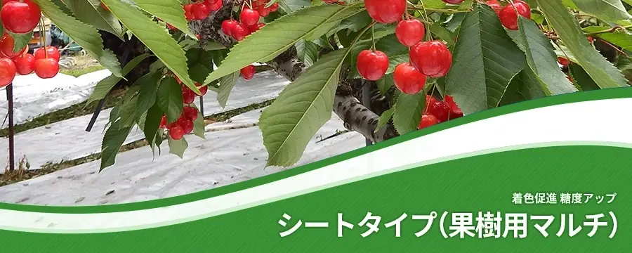 シートタイプ（果樹用）