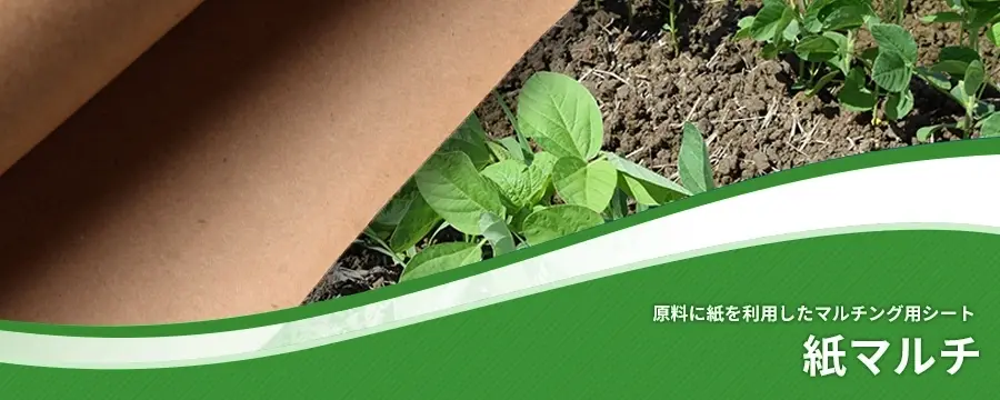 紙マルチ
