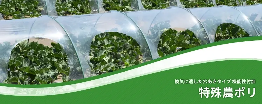 特殊農ポリ