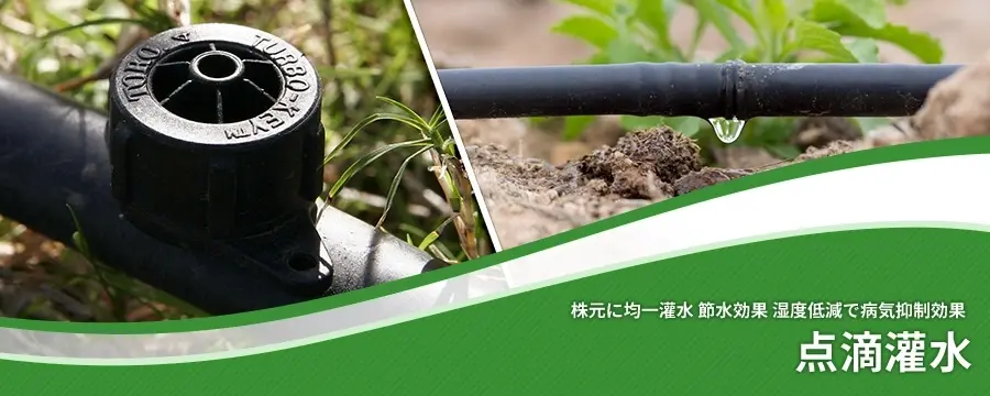 点滴灌水（点滴潅水）
