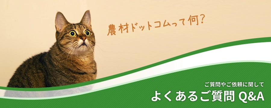 よくあるご質問
