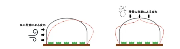 農業用ビニールハウスにおける「たわみ」