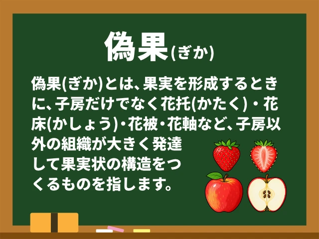 偽果