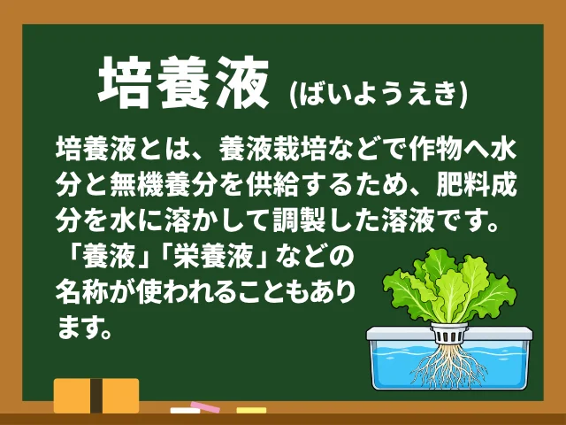 培養液