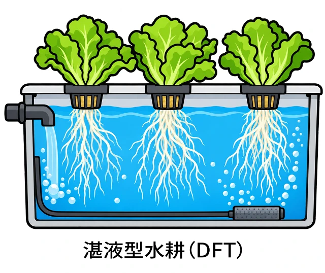 湛液型水耕(Deep Flow Technique:DFT)