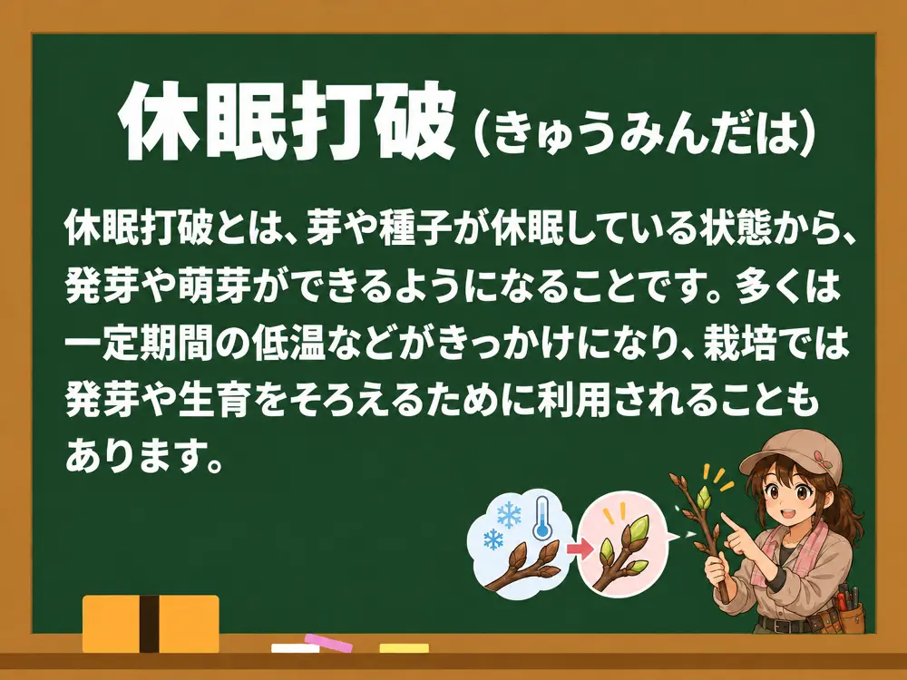休眠打破