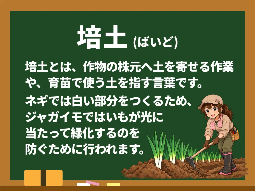 培土